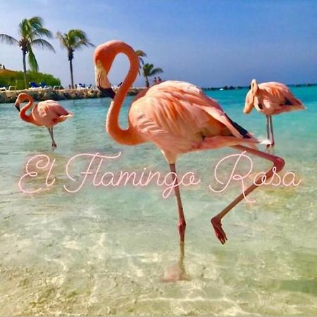 Casa Vacanze El Flamingo Rosa Cod Iun P5386 Iglesias Buitenkant foto