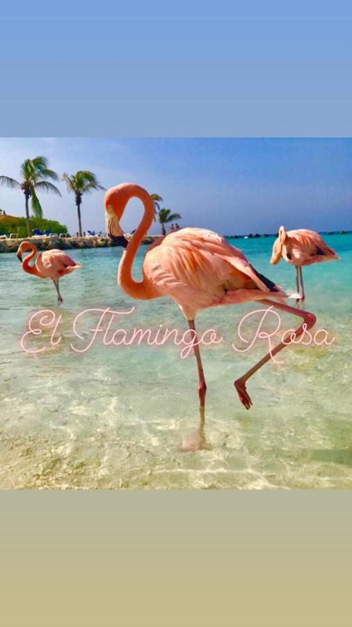 Casa Vacanze El Flamingo Rosa Cod Iun P5386 Iglesias Buitenkant foto